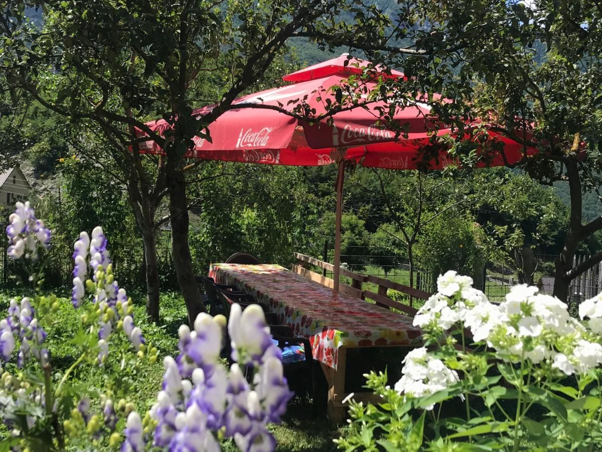 Гостевой дом Guest House Kollata Vusanje-29
