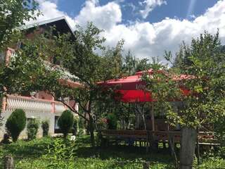 Гостевой дом Guest House Kollata Vusanje-0