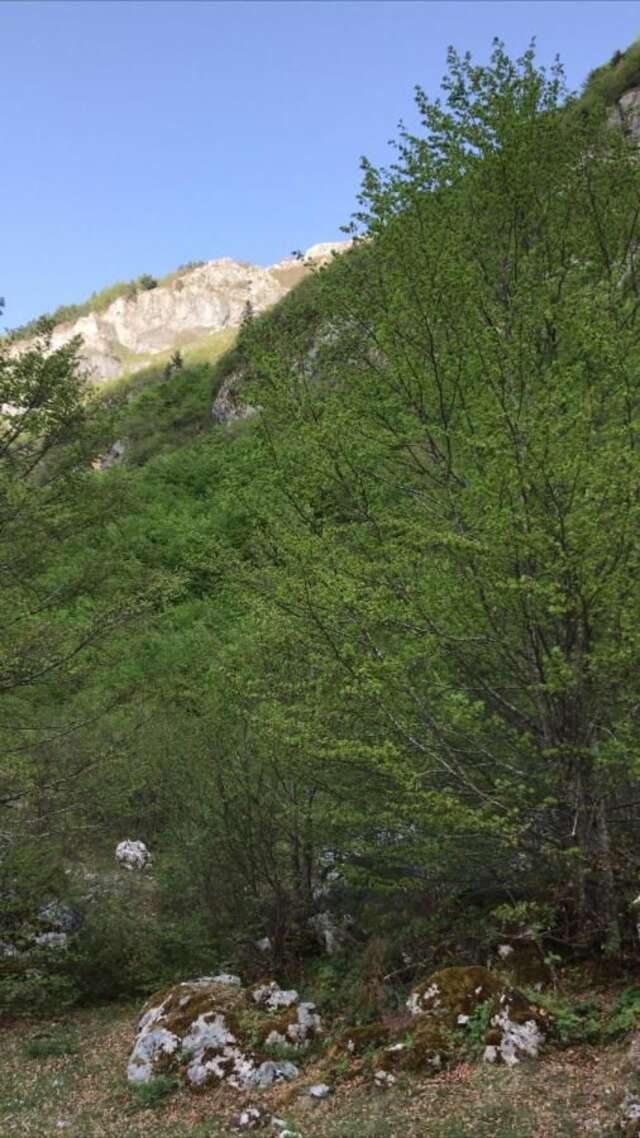 Гостевой дом Guest House Kollata Vusanje-14